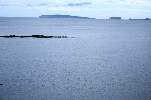Eau,Plage,Été,Saison,MRC Rocher-Percé,Région,Belle Anse,Jour,Temps